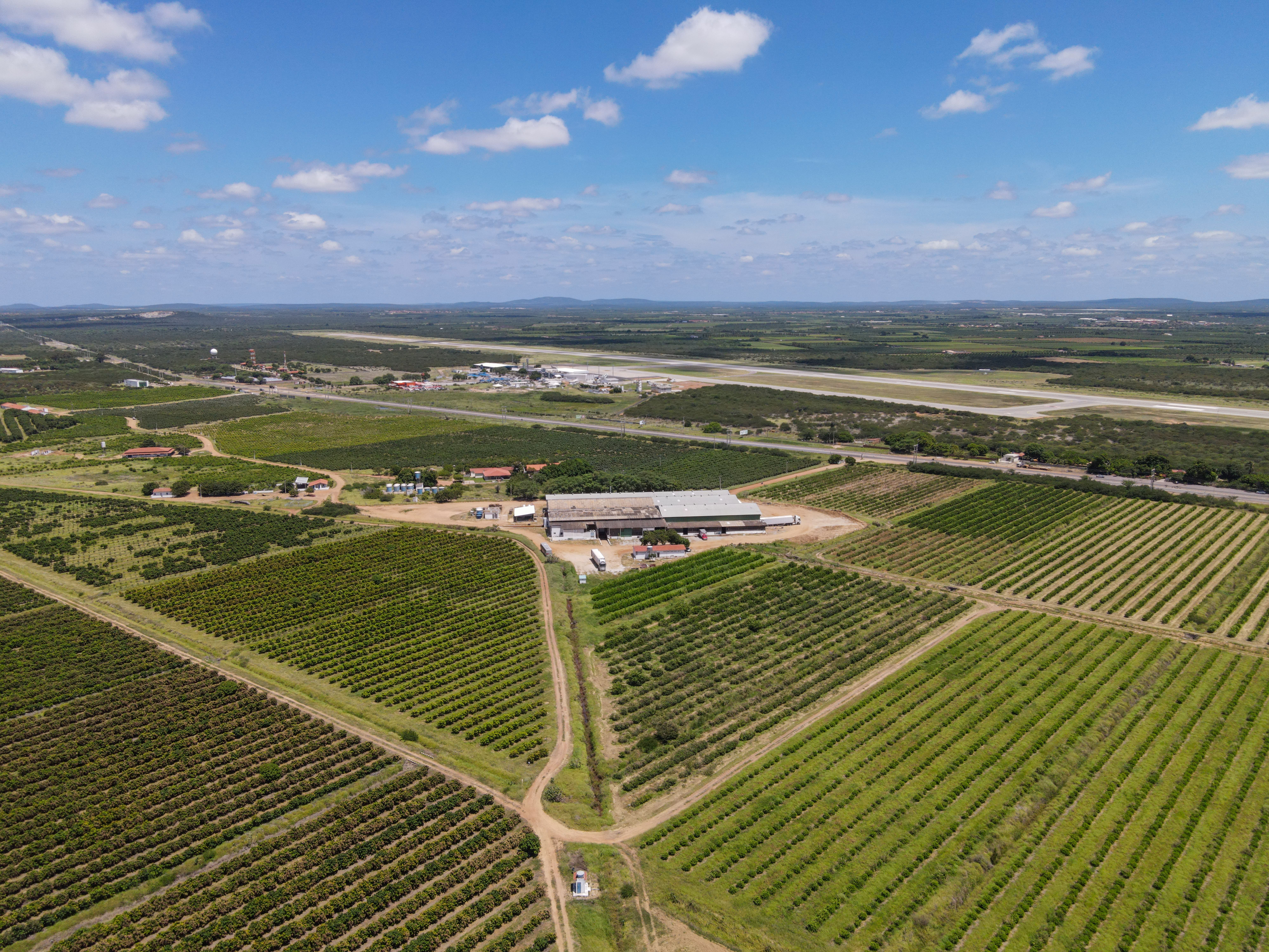 dji_fly_20250219_104542_908_1739972779702_photo